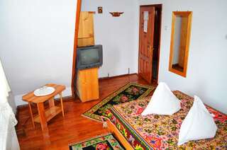 Гостевой дом Pensiunea Dor de Alunis Aluniş Двухместный номер с 1 кроватью и собственной ванной комнатой-3