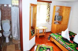 Гостевой дом Pensiunea Dor de Alunis Aluniş Двухместный номер с 1 кроватью и собственной ванной комнатой-8